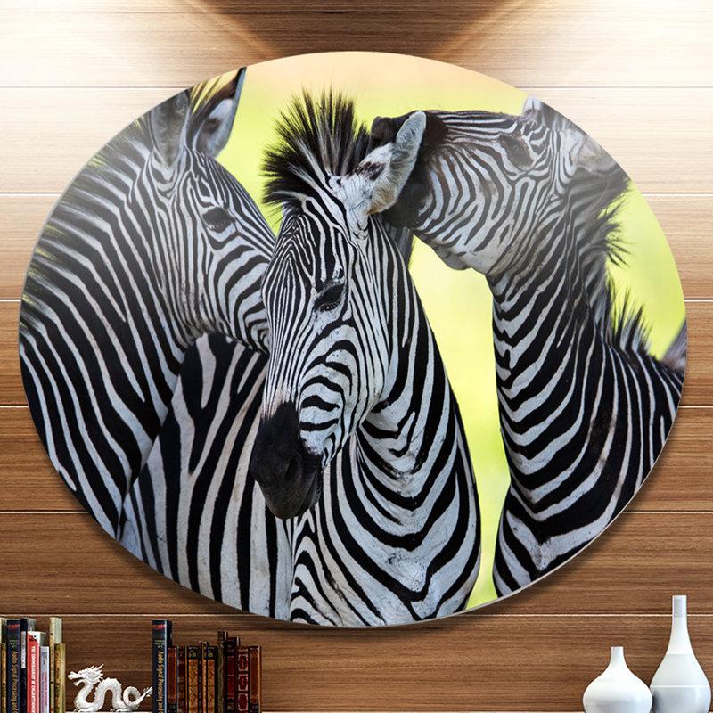 «Zebras Socialiser and Kissing», reproduction de photo sur métal, H 36 po x l 36 po x P 1 po