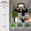 Shelvin Spotlight-751487646