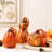 Thanksgiving Decorative Accent