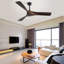Ventilateur de plafond 52 po sans lumière