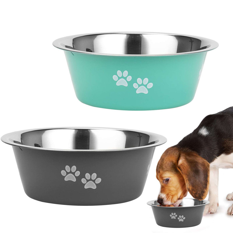 Ensemble de 2 bols en acier inoxydable pour animaux
