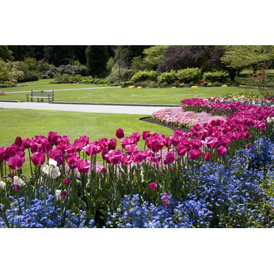 Jardin de fleurs par Jameslee999