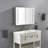 LED Lighted Bathroom Cabinet With Mirror