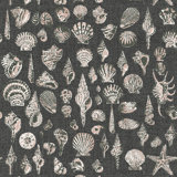 Lowcountry Love Shells Marsh Breeze Wallpaper by Megan Molten