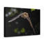 No Frame Print on Canvas-348800853