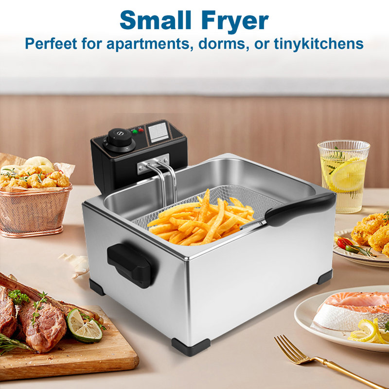 Compact Stainless Steel Electric Deep Fryer