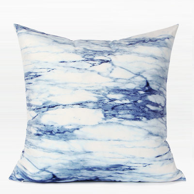  Digital Printing Pillow Cover