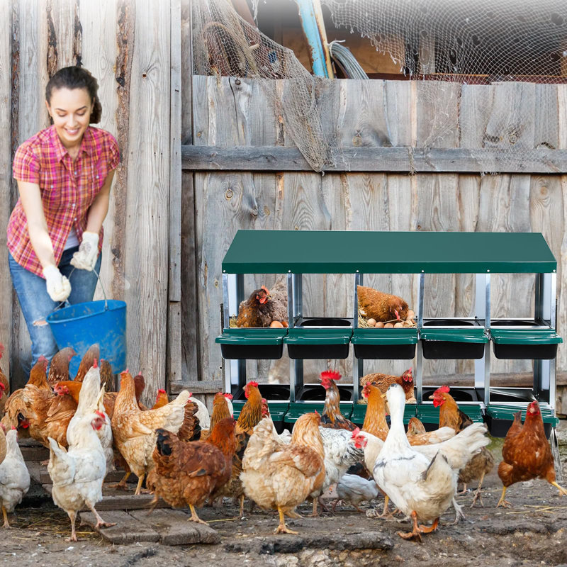 Boîte de nidification pour poulets, boîtes de nidification pour poulets à 10 compartiments, boîtes de ponte pour poules avec pieds en métal, boîte de nidification pour poules qui pondent des œufs avec couvercle pour protéger les œufs, vert