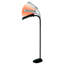 62 " LED Traditional Floor Lamp