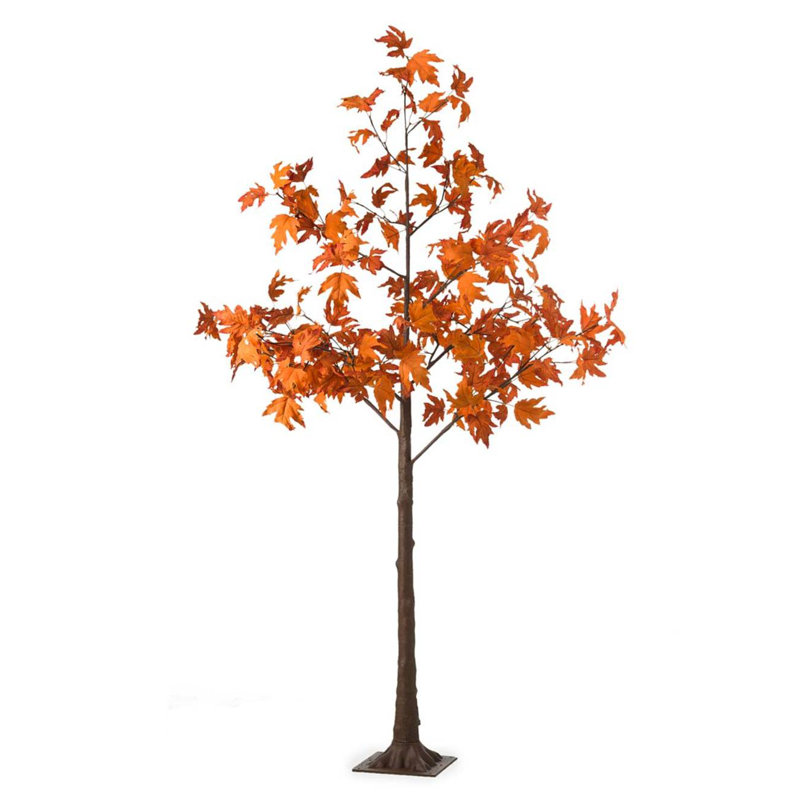 Maple Tree, 72" x H x 58" W x 58" D