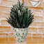 Pot en bambou à feuilles rondes et bambou 7 "Bamboo Blooms-94209016