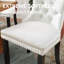 Chaises d'appoint modernes en velours haut de gamme (ensemble de 2)-1516440423
