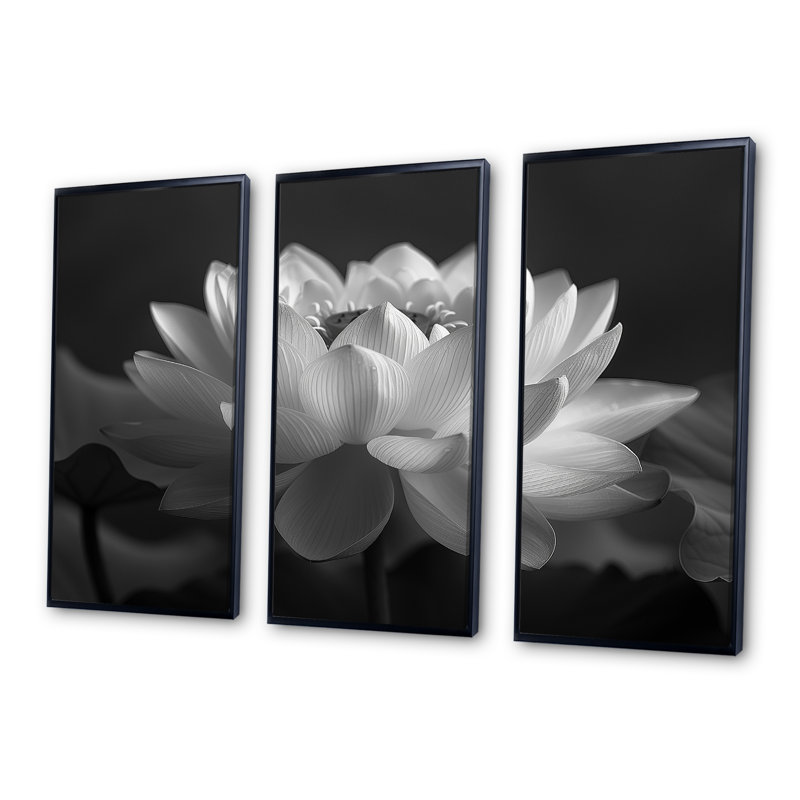 Gassaway - lotus, reproduction d'art mural, Toile avec cadre flottant noir, H 32 po x l 48 po x P 1 po