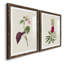 Pretty Pink Botanicals VI - Ensemble de 2 reproductions de cadres photo-1481787736-1481787739