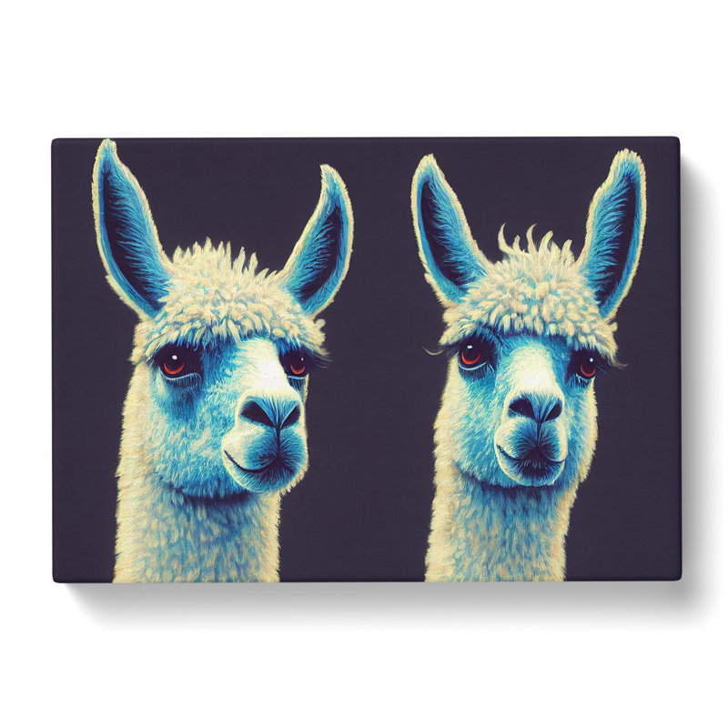 The Two Llamas Vol.1 - Wrapped Canvas, 35cm H x 50cm W x 3cm D