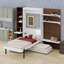 Lit escamotable avec armoire de rangement, tablettes ouvertes, façade de canapé et port USB pour un gain d'espace au sol.-1508674978