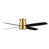 Gold with Black/White Blades