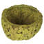 Noix de coco maya entièrement naturelle, séchée-1574120560