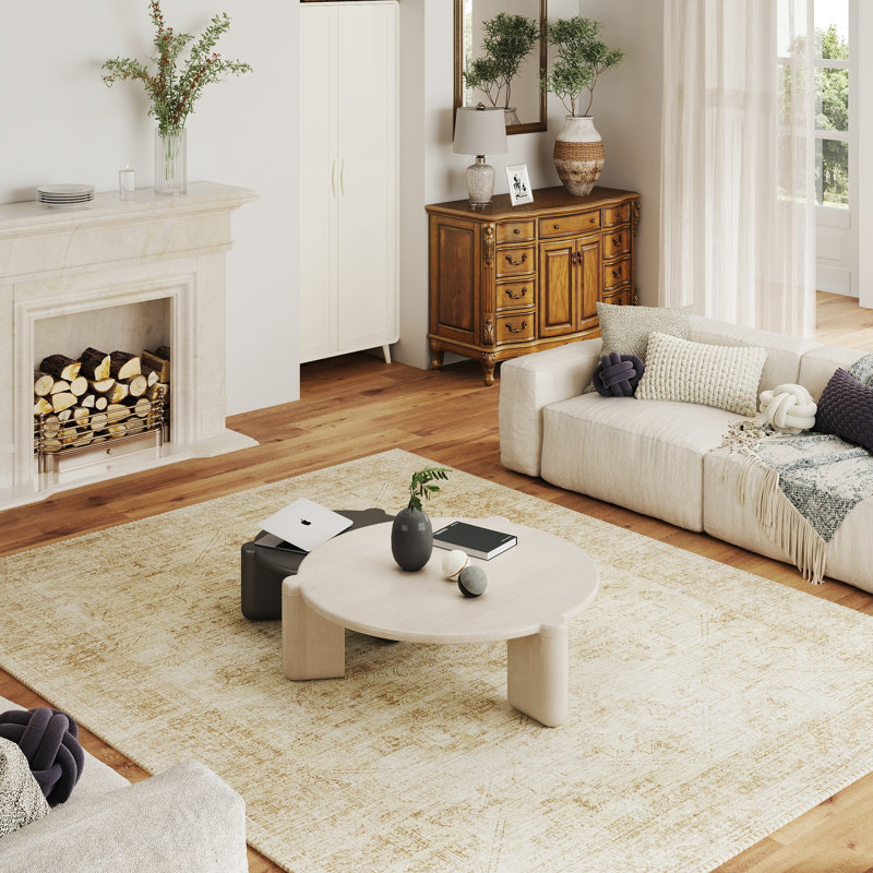 Washable Area Rug Soft Accent Carpet Vintage Inspired Distressed Low Pile for Living Room Dining Room Bedroom Den
