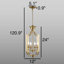 4-Light Chandelier-1240862066-1240862067