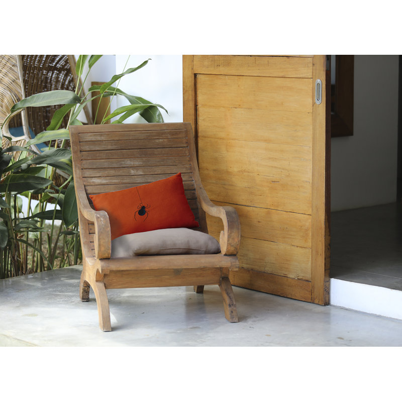 Eeek ! housse de coussin à imprimé fêtes/insert, 18 po x 18 po, Orange