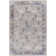 Infinity Oriental Indoor Rug