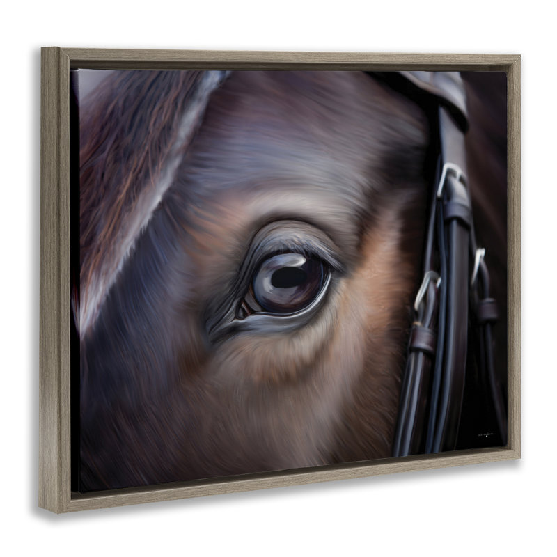 Cadre flottant Equine Gaze, par Seven Trees Design, Cadre flottant orme Montalcino, H 25 po x l 31 po