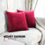 Square Euro Pillow Cover-88003725