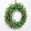 Couronne en plastique eucalyptus-726362231