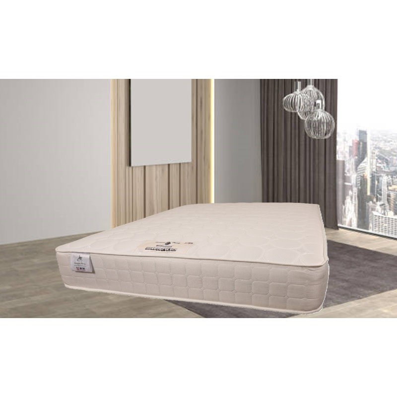 Ebern Designs Mattress, Single (3')