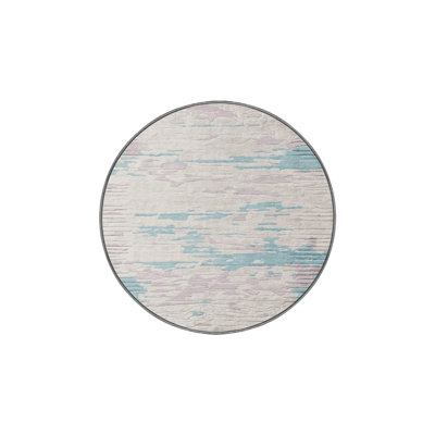 Machine Washable Gray Area Rug