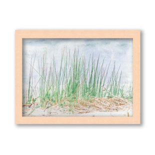 Grass on the Beach by Hal Halli. Paper Print - Mounted & Framed with Clear Acrylic, image size - 36x48