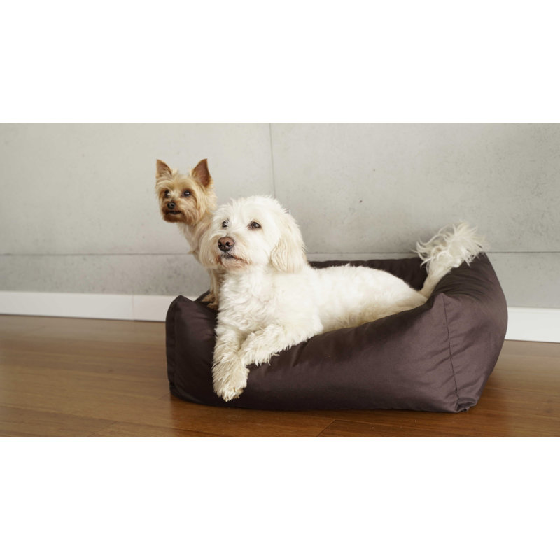 Theodis Codura Pet Bed, Brown, 17cm H x 70cm W x 61cm D, Medium