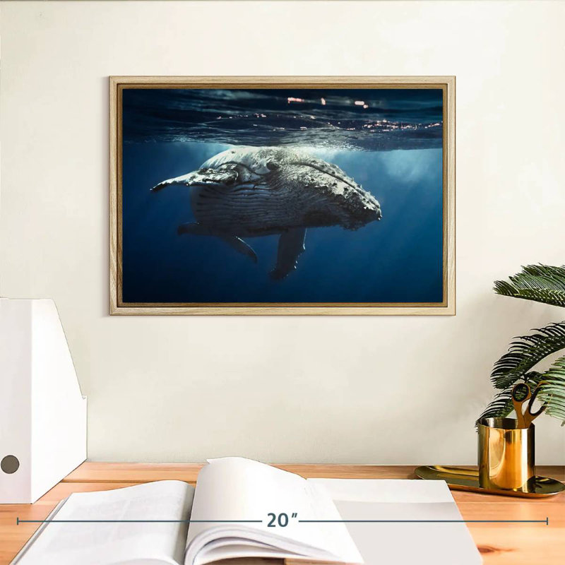 Baleine écumante, Cadre flottant en bois naturel, 13 po x 9 po