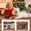 Tapis rouge Yuletide-240079615