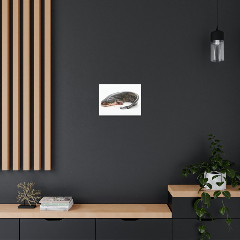 Majestic Catfish Art Majestic Catfish Print Animal Wall Art, 12" H x 16" W