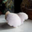 Jaboj Scolecite sur Stilbite