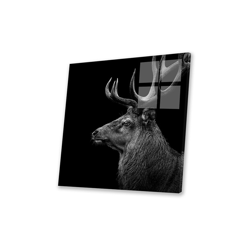 «Deer in Black & White» par Lukas Holas - photographie sans cadre, H 36 po x l 36 po x P 0,25 po
