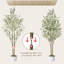 80cm Tree