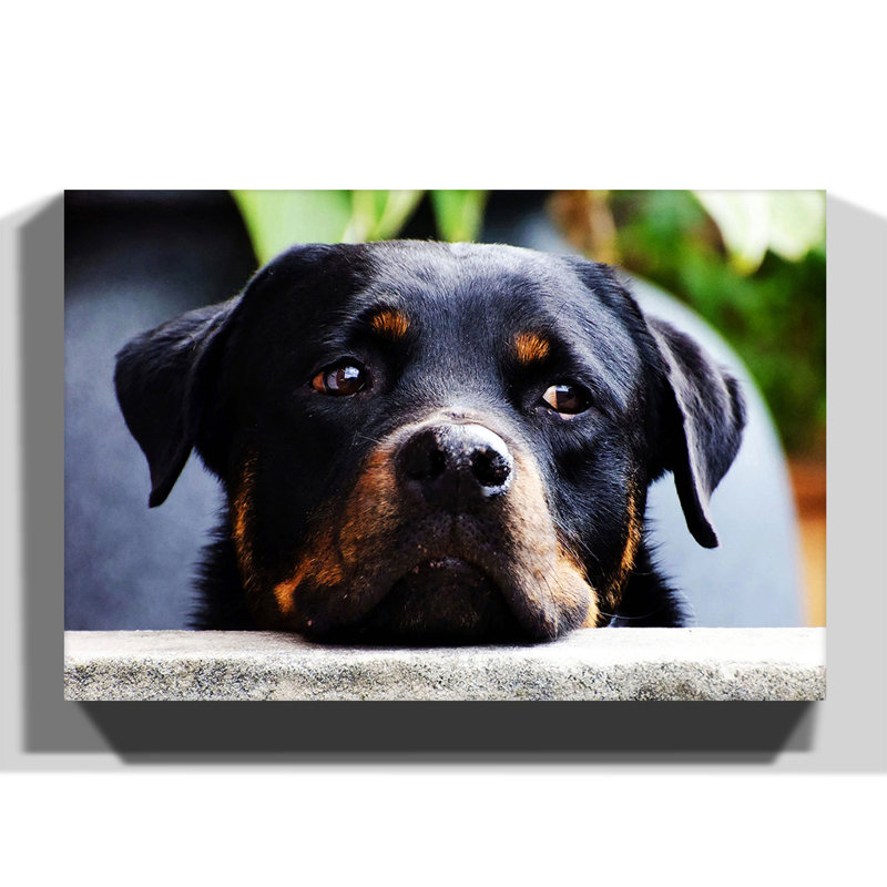 Wrapped Canvas Print, 50cm H x 76cm W