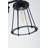 Shackelford Armed Sconce