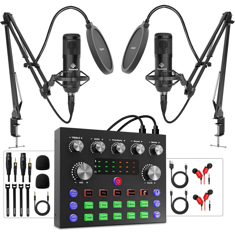 Ensemble de balado pour 2 personnes, Interface audio avec microphone de studio, parfait pour la diffusion en direct et le chant
