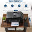 Hobbylane Multi-Screen Single Screen Electronic Mount