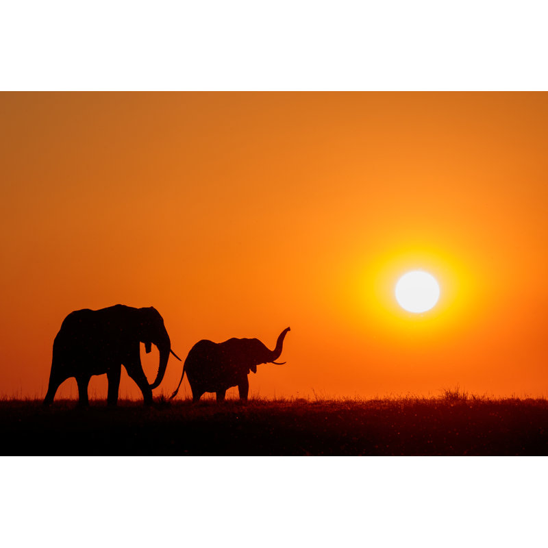 Elephants At Sunset - Wrapped Canvas Print, 61cm H x 91cm W