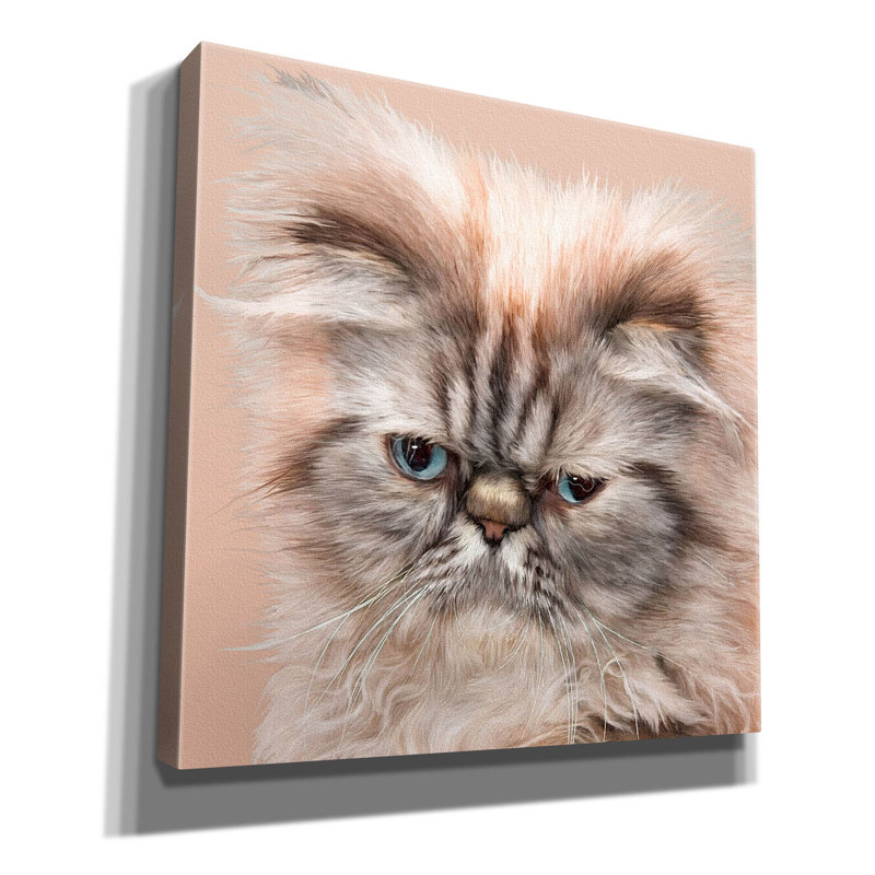 «Persian Cat Face Bf» par Carol Cavalaris, art mural sur toile, H 26 po x l 26 po x P 1,5 po