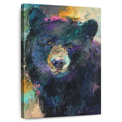 Brampt A Black Bear