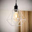 Carnegie 20cm H Metal Novelty Pendant Shade ( Clip On )-40371757