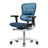 Tempur-Pedic Ergohuman GEN2 Mid Back Ergonomic Office Chair with Tempur-Pedic Seat, Adjustable Arms, Seat Height, Tilt Lock and Lumbar Support, Mesh Back