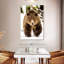Ours grizzly en marche-106963850