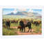 « rites of the plains », impression sur toile-32591265-72153971-72153972